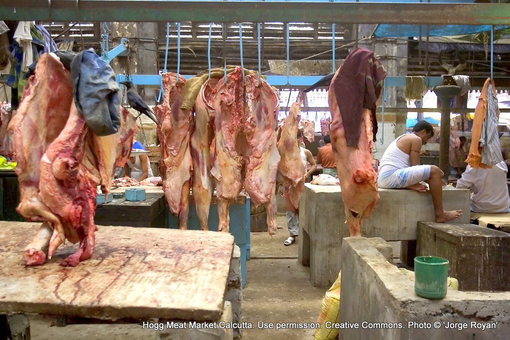 Hogg meat market, Kolkata India. Prime Cuts: An air thick with innuendo and contempt produces a new stigma: meat-eating