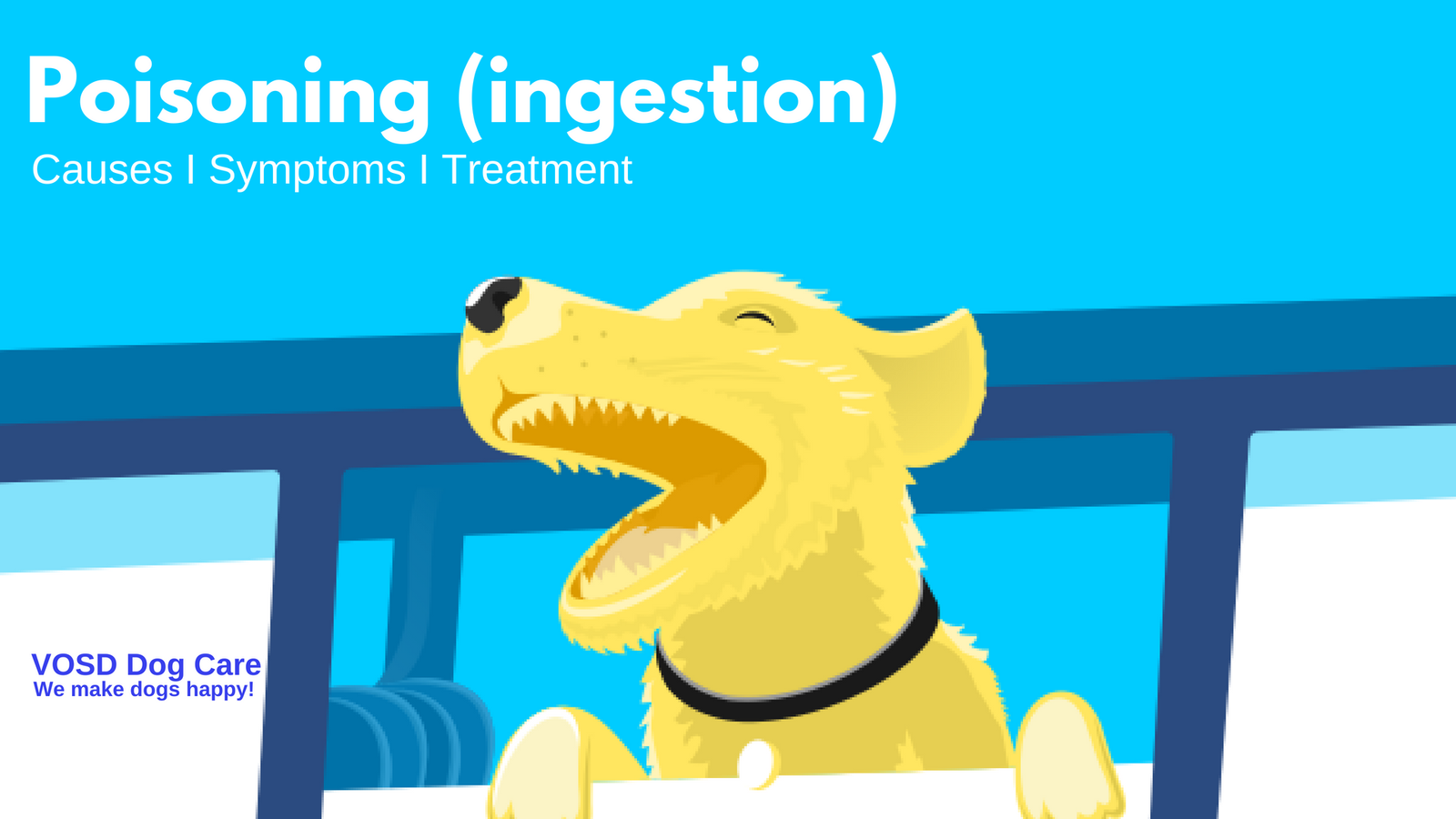 Poisoning in dogs: symptoms and consequences Poisoning in dogs: symptoms and consequences