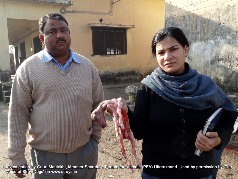 Dehradun slaughter house report: pregnant animals are slaughtered and foetuses thrown in the open for dogs to feed Dehradun slaughter house report: pregnant animals are slaughtered and foetuses thrown in the open for dogs to feed