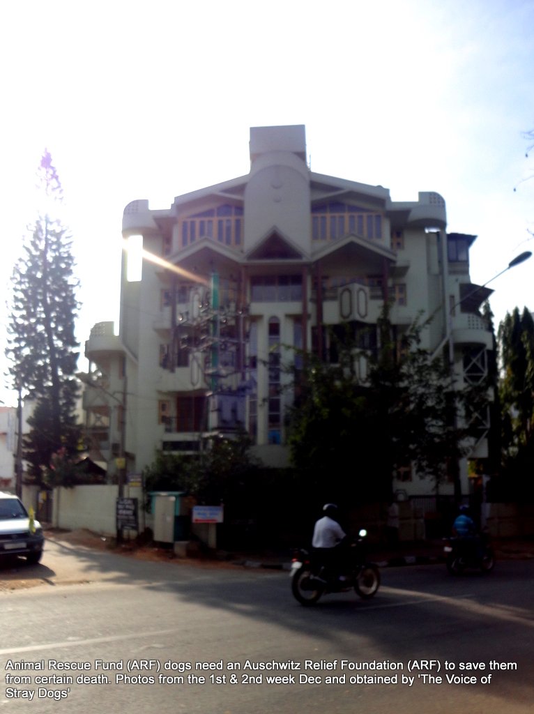This is the building in downtown Bangalore where the ARF office is